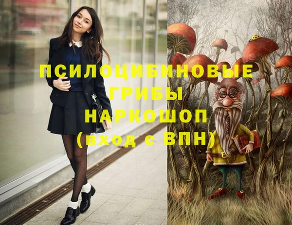 mdpv Бородино