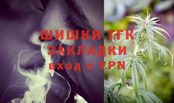 spice Богородск