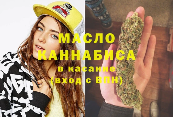 mdpv Бородино