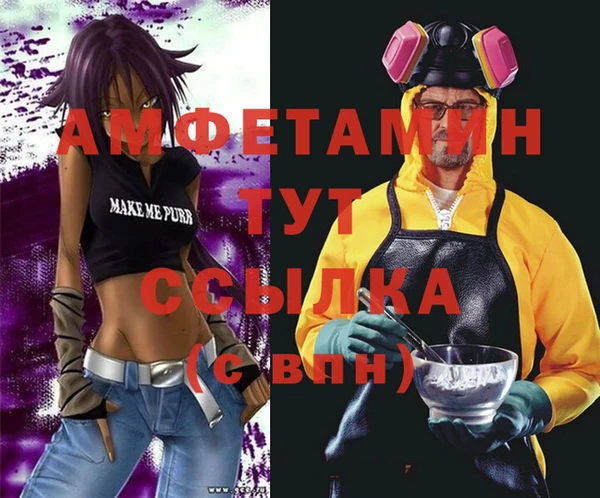шишки Бронницы