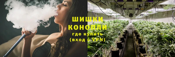 mdpv Бородино