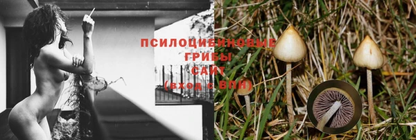 шишки Бронницы
