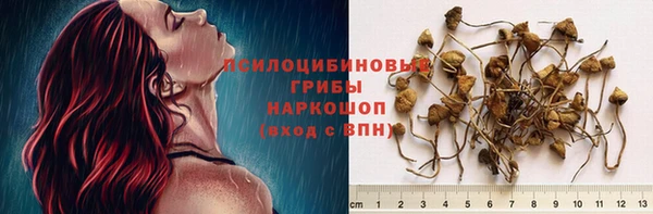 mdpv Бородино